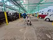 Muzeum Inżynierii i Techniki Motoryzacji w Głuszycy