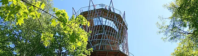 Aussichtsturm in Szczawno-Zdrój
