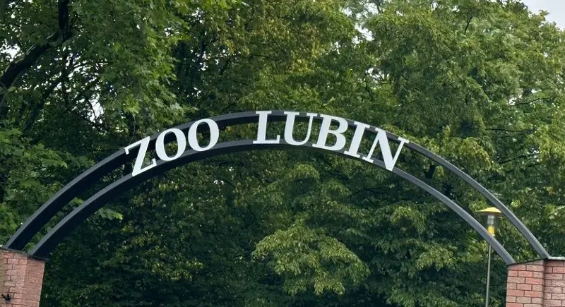 ZOO Lubin