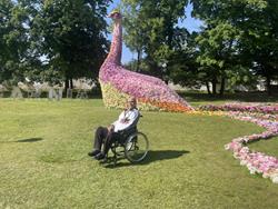 Bird Made of Flowers